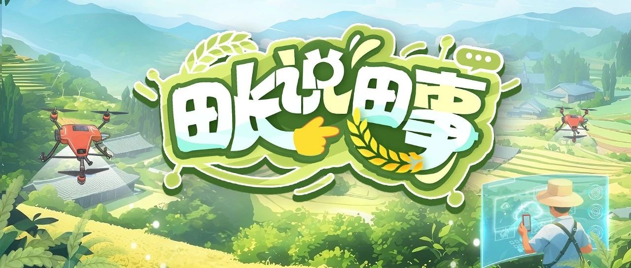 田长说田事｜重启&ldquo;粮田&rdquo;！一起来读读这份土地《重生记》