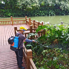 解决&ldquo;蚊&rdquo;题，禅城在行动