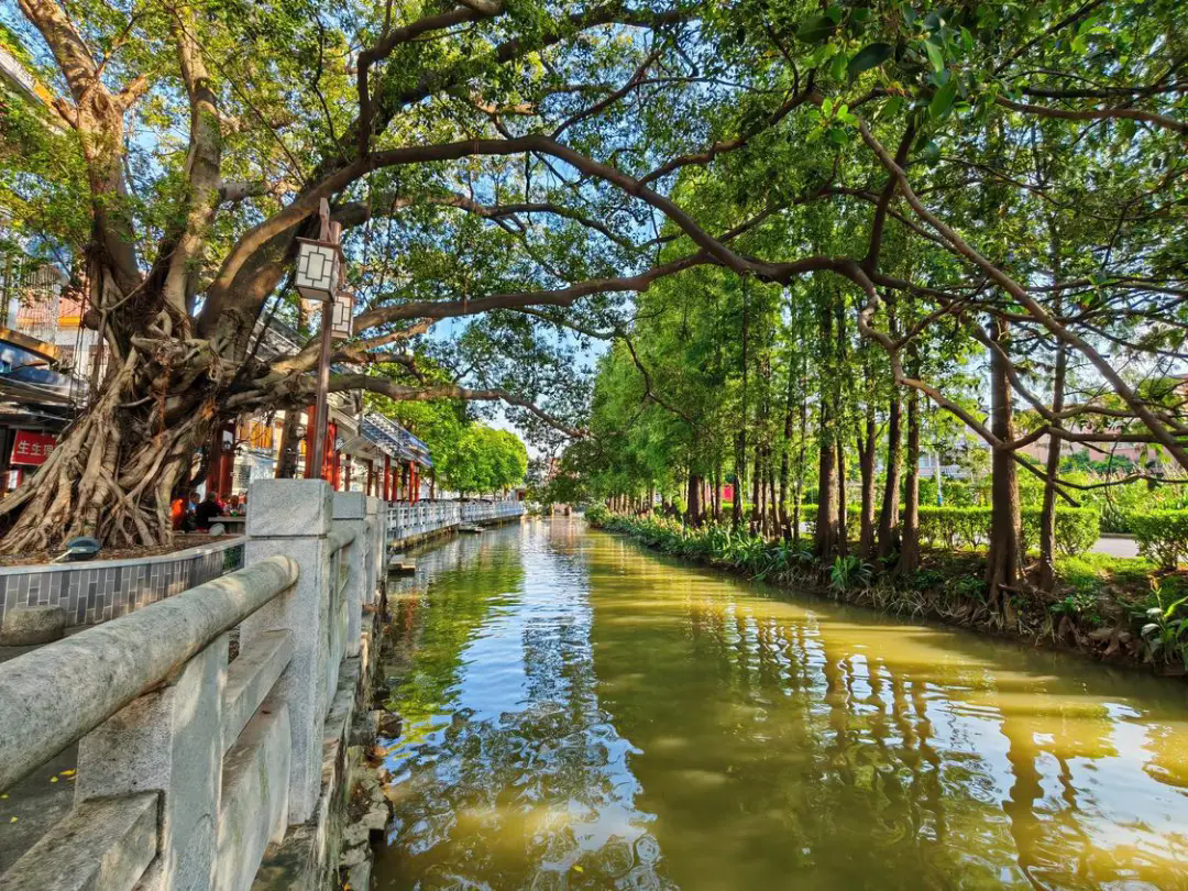 河长制赋能绘就绿韵水乡新画卷，湖涌村邀您共赴&ldquo;水美之约&rdquo; ~ l 治水攻坚