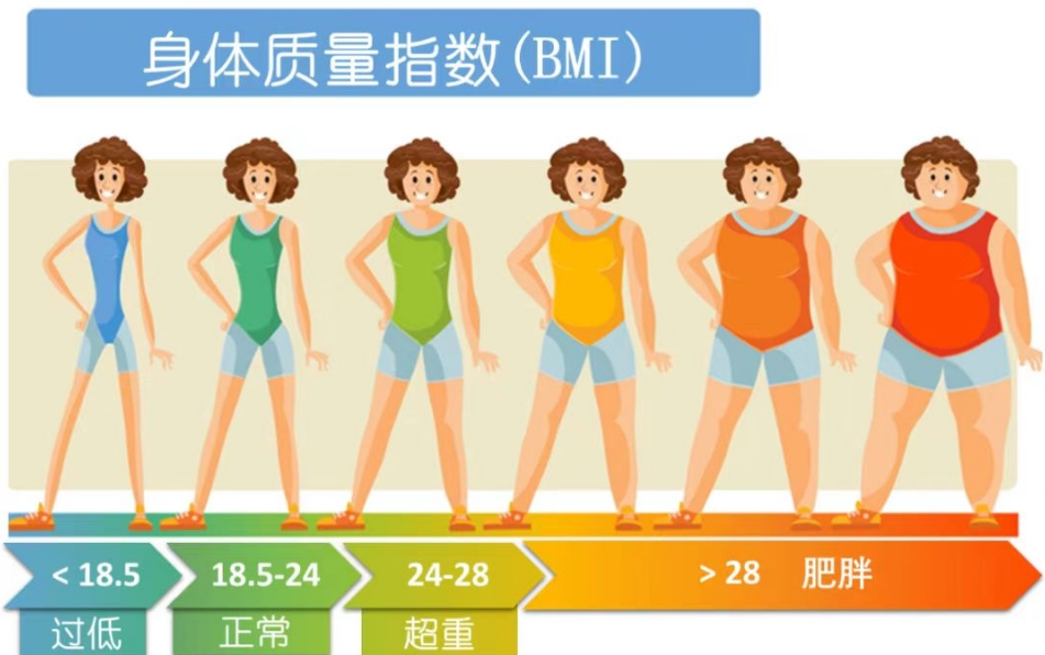 摆脱大肚腩，中医外治来&ldquo;支援&rdquo;！