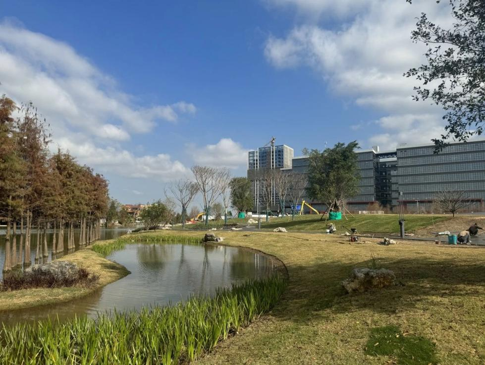 以水为脉，北滘西海村打造水岸经济走廊！l 治水攻坚