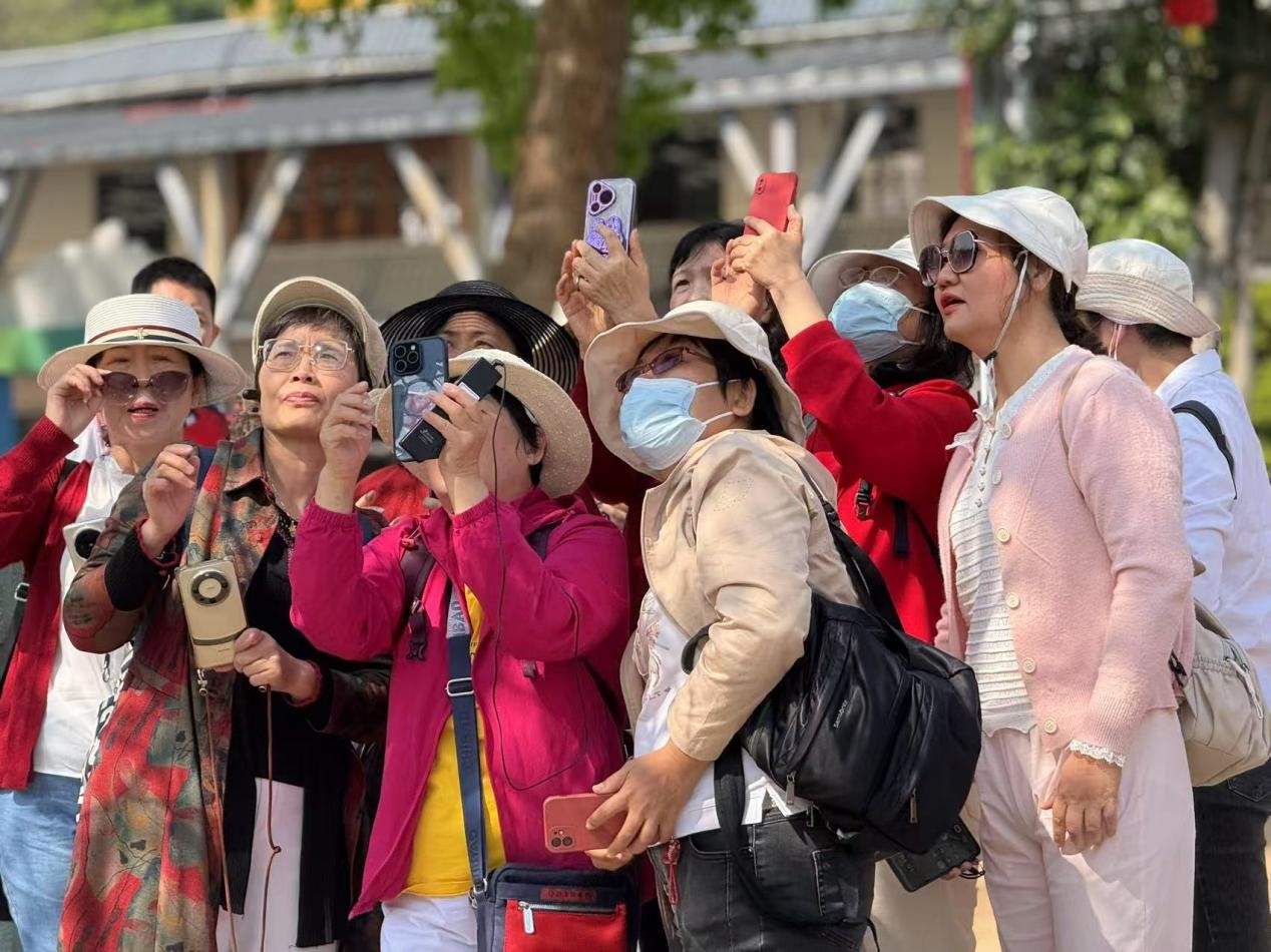 佛山开放大学老年摄影班：用脚步丈量岭南，以镜头点亮银龄生活