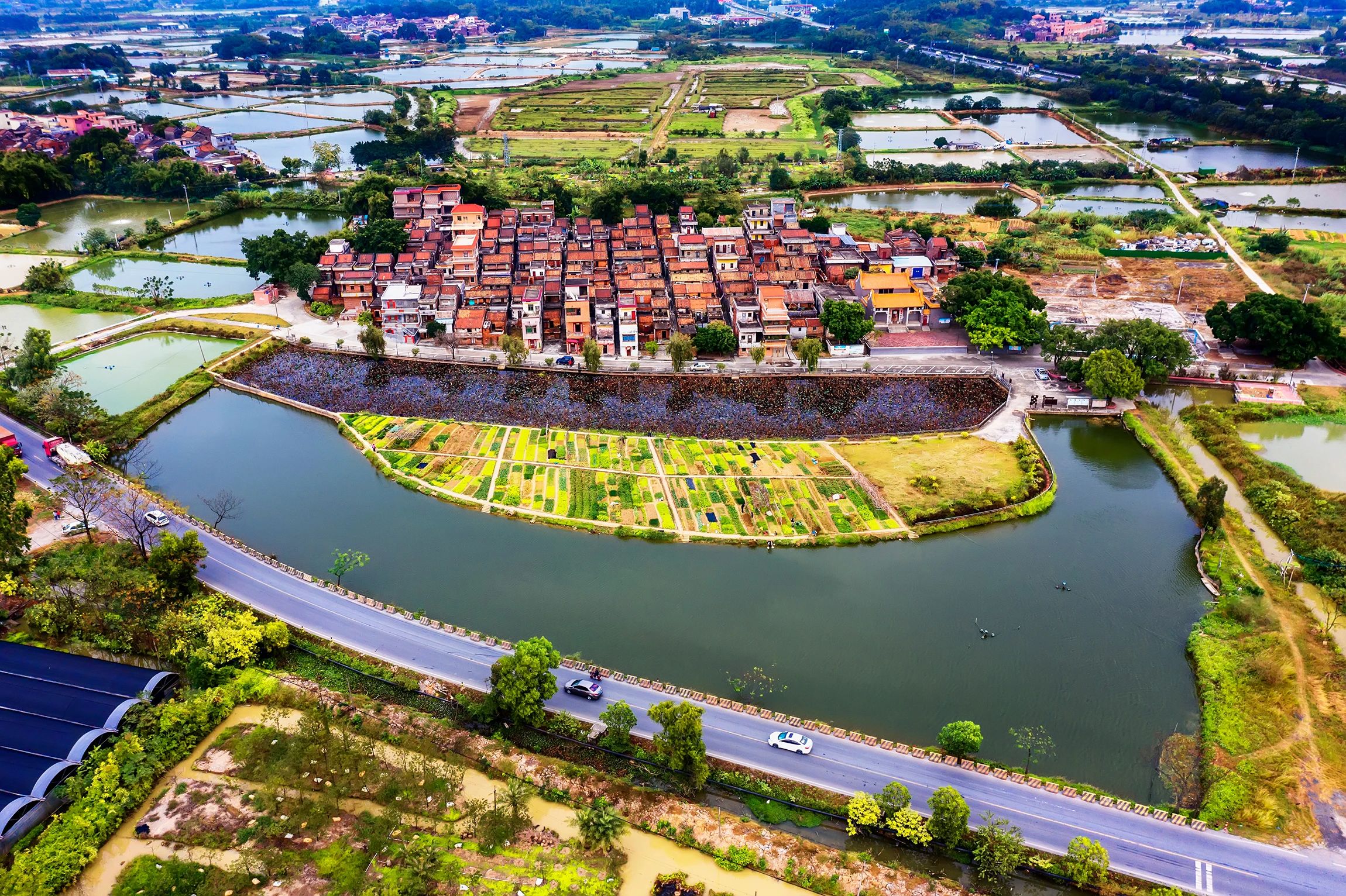 佛山市交通运输局组织召开环两江先行区交通提质升级现场会