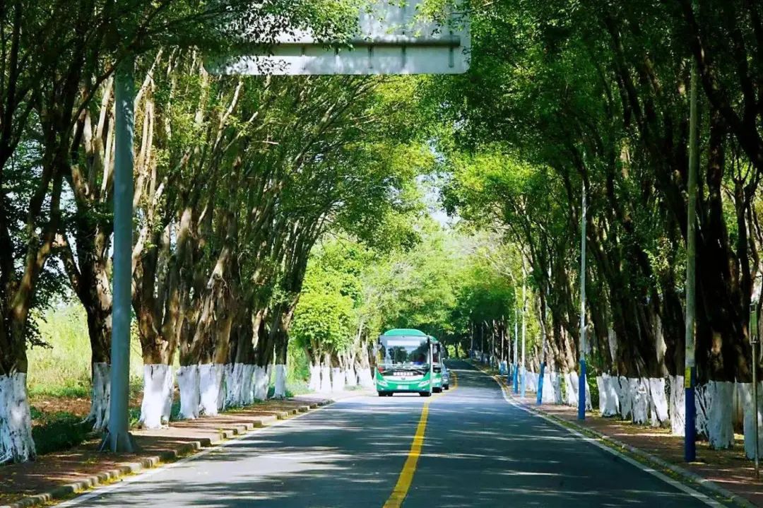 踏四好农村路春风载梦 ，绽巾帼灼芳华大道同行