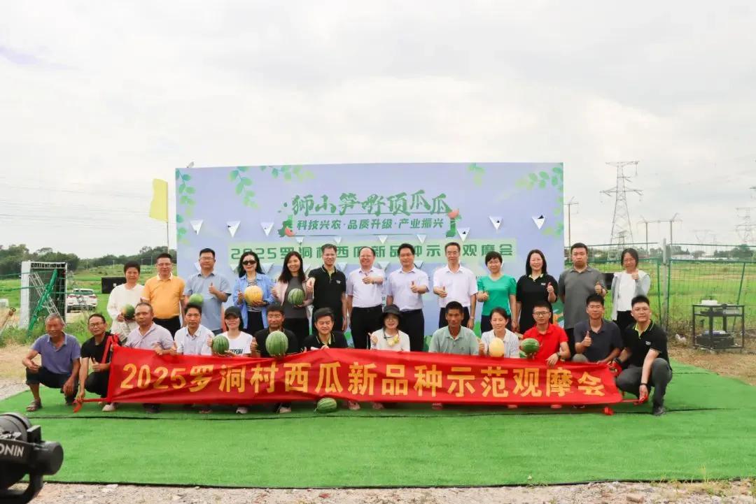 佛山鲲鹏现代农业研究院举办西瓜新品种示范观摩会