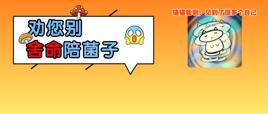 这个夏季菌子界的&ldquo;伪装者&rdquo;，别采！别买！别吃！