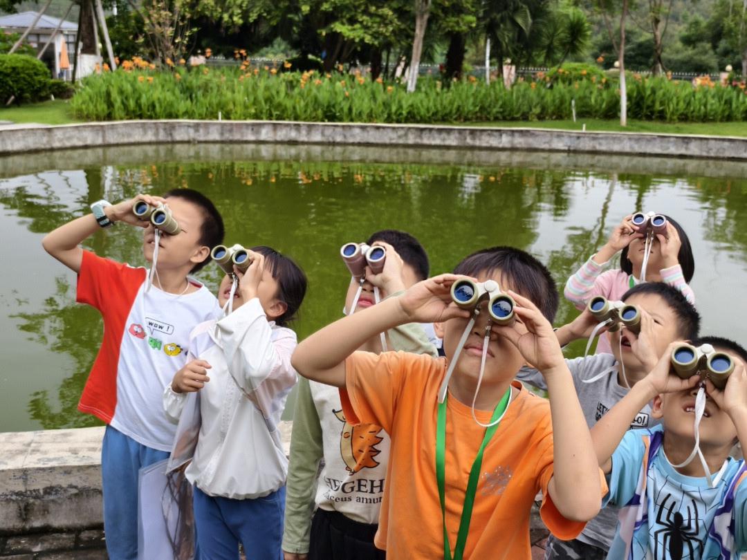 佛山市&ldquo;林长+检察长+森林法官+志愿者&rdquo;2025年首次联合巡林圆满举行