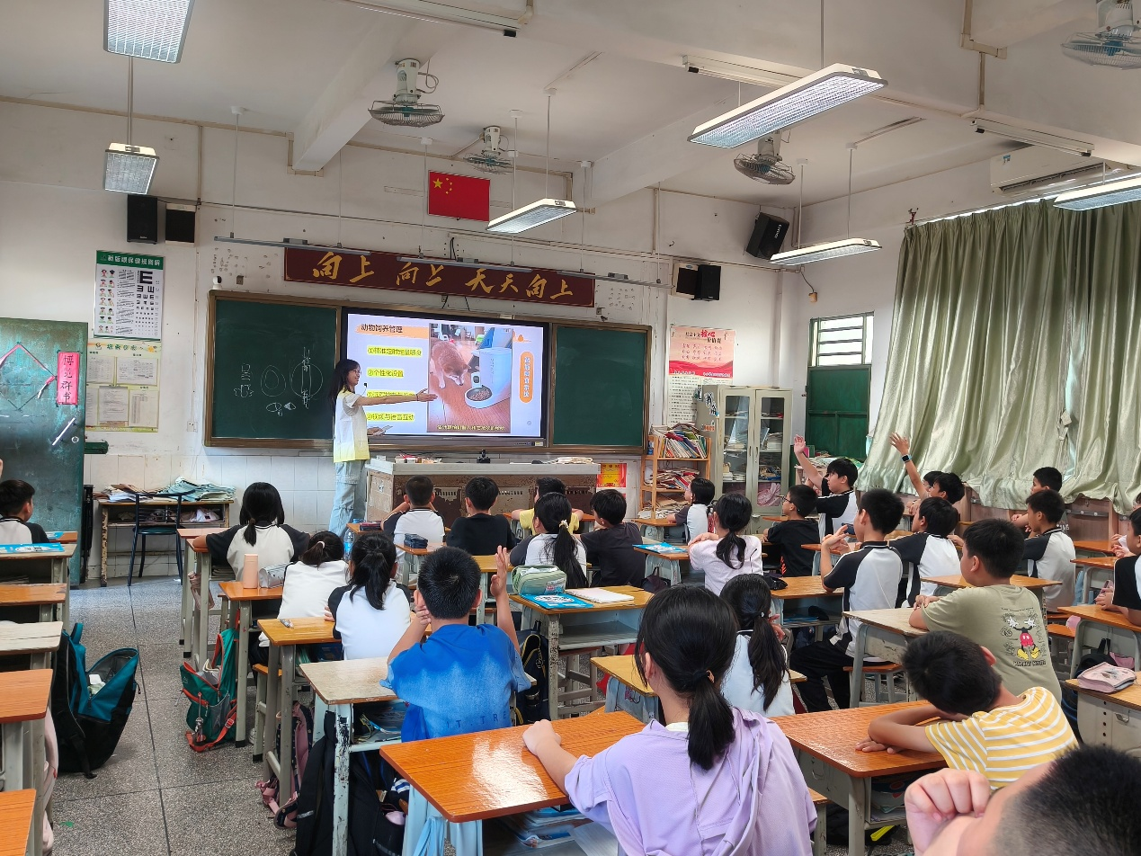 趣探动物生存，智护生态未来！佛山大学十八夏乡实践队赴顺德校园开课