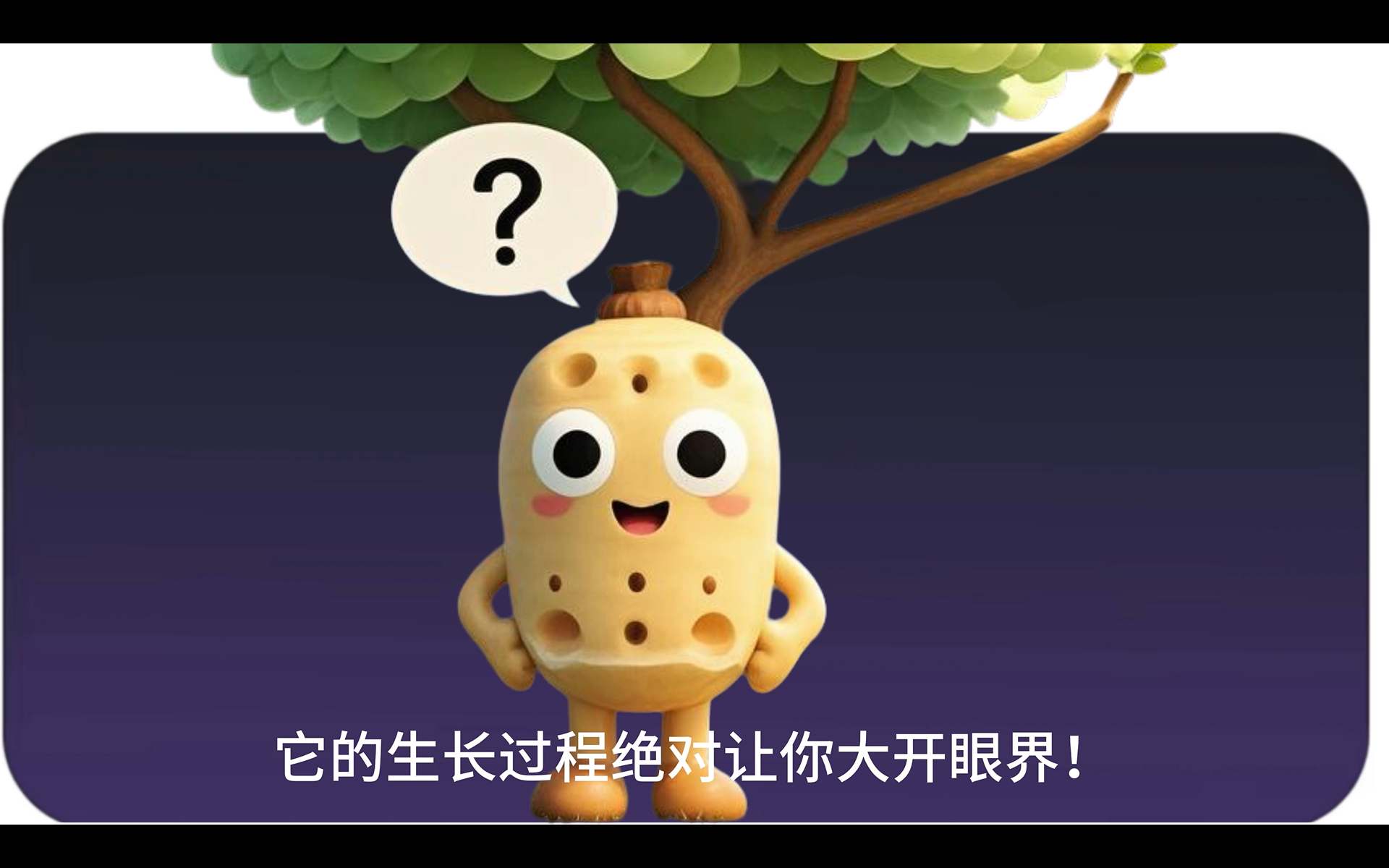 佛山大学守望者|藕步青云：水下的生长秘语