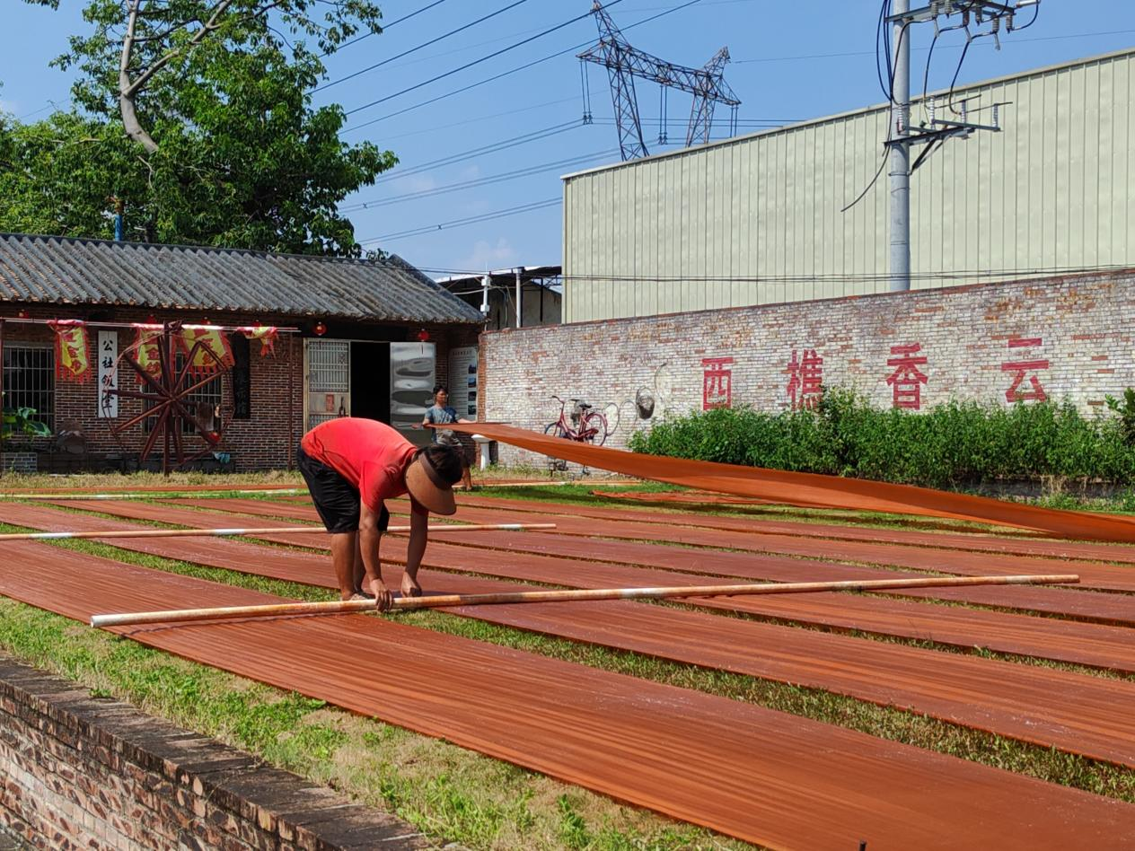 佛山大学十八夏乡实践队走进传承基地：见证香云纱浸莨晒莨的古老工艺