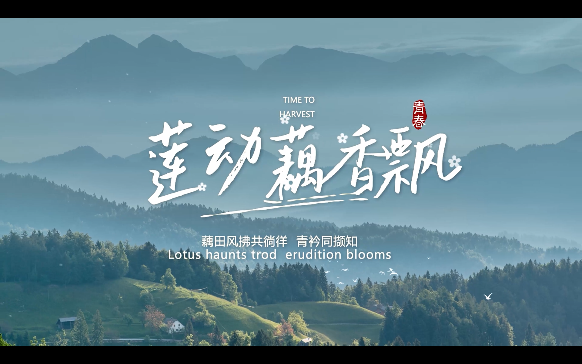 佛山大学守望者义教队莲动藕香飘