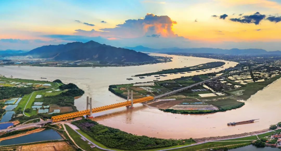 佛山市环两江先行区卫生健康强基创优行动启动仪式举行