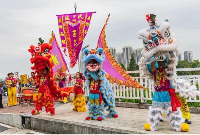 11月30日开跑！2025顺德半程马拉松来啦