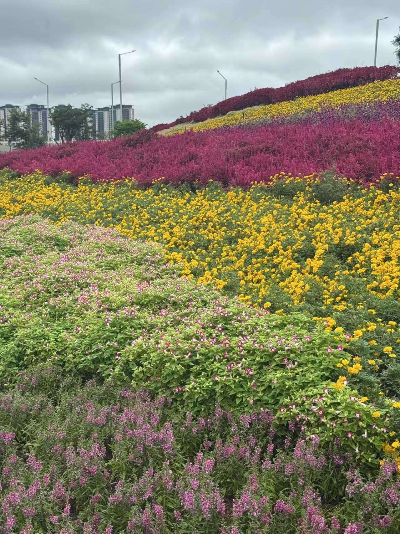 佛山大学&rdquo;法润凤城&ldquo;实践团|助力潮州仙洲岛民宿发展