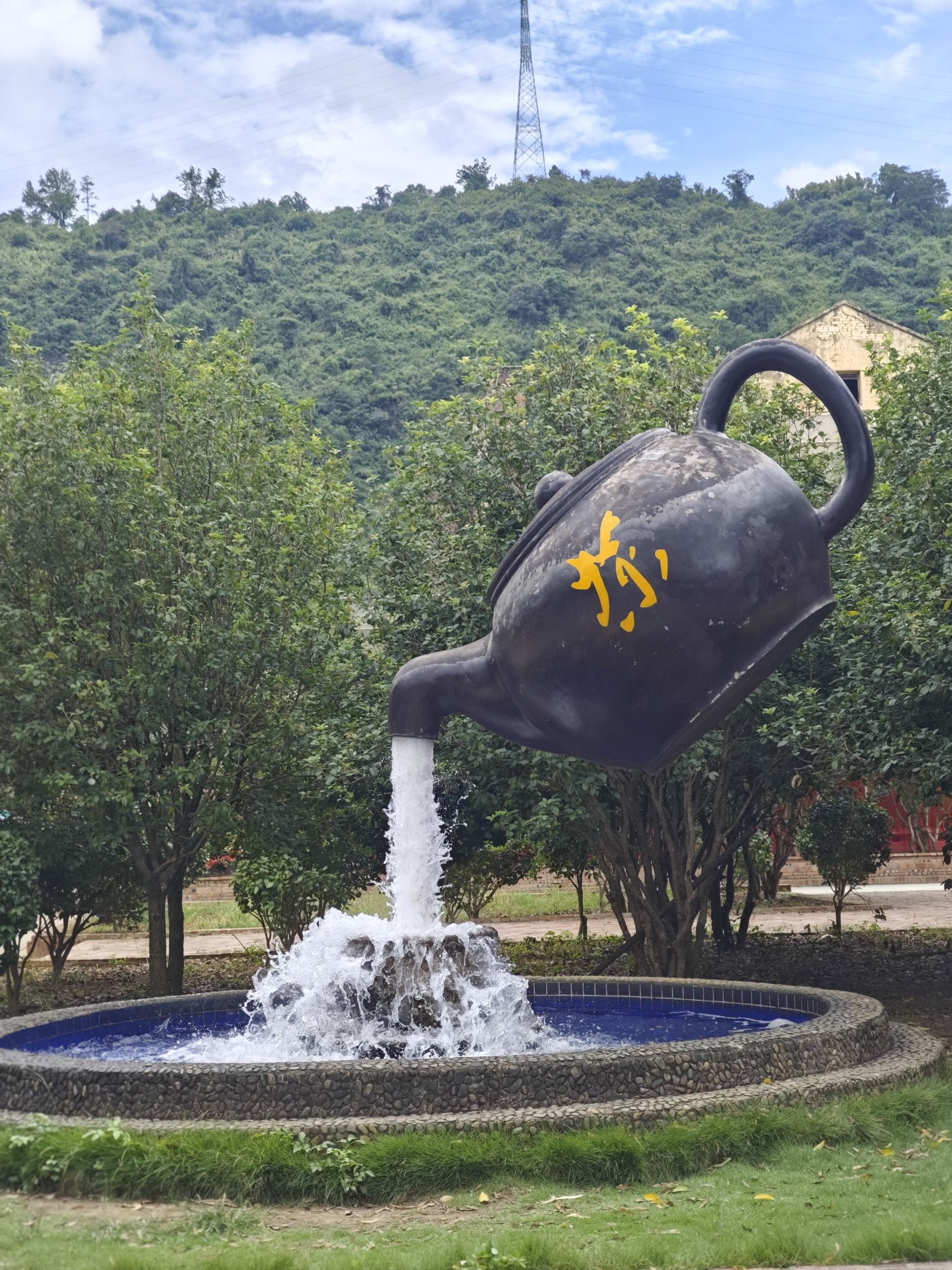 英德红茶融智慧，青矜下乡铸华章