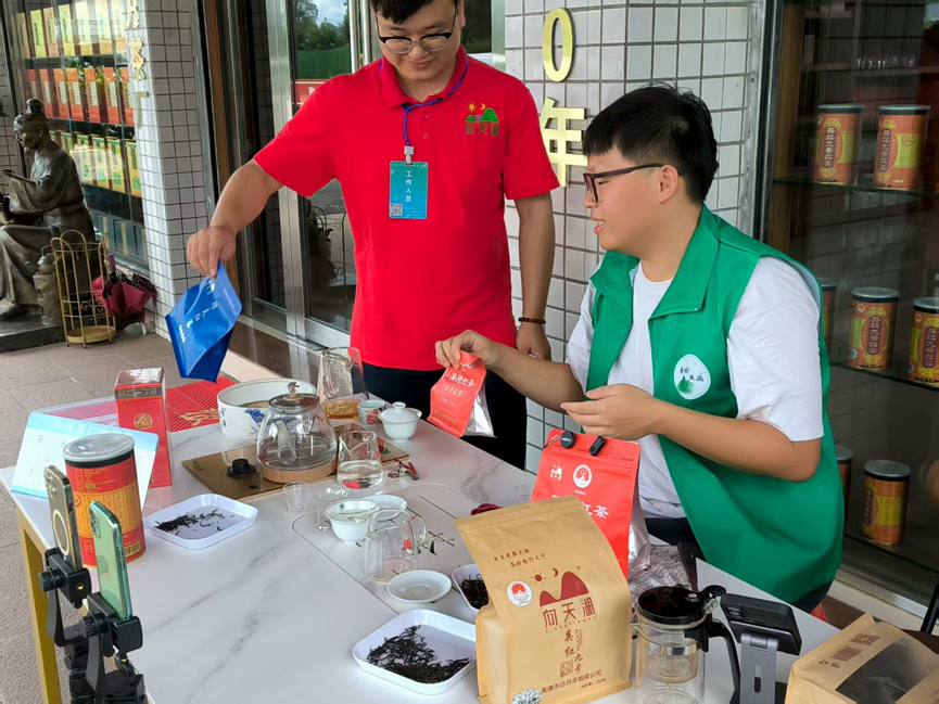 直播助农添活力 英德红茶香满园