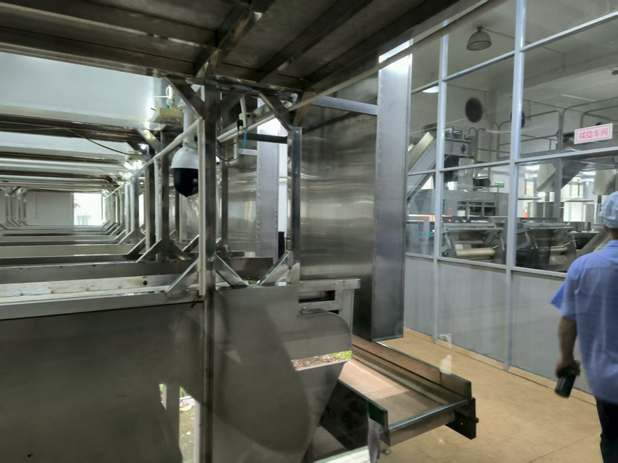 探访红旗茶厂 感受传统茶业焕新机