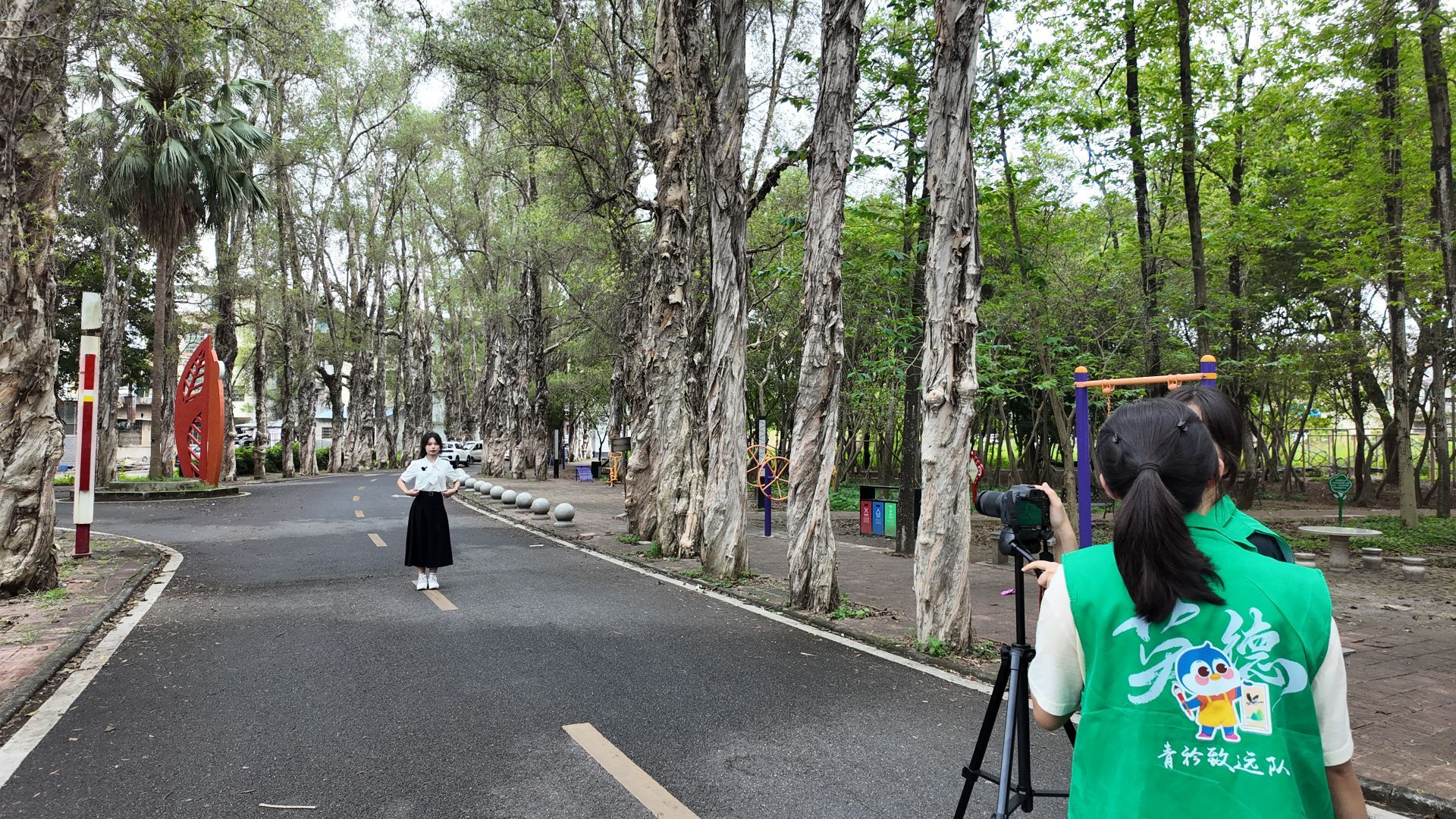 茶香里的家国情怀 佛山大学学子探访英红博物馆