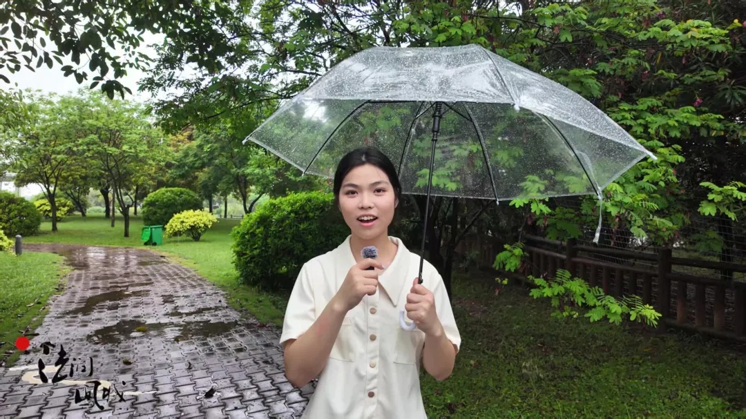 佛山大学法学院&ldquo;法润凤城&rdquo;实践队 | 践行绿色理念，建设生态城乡