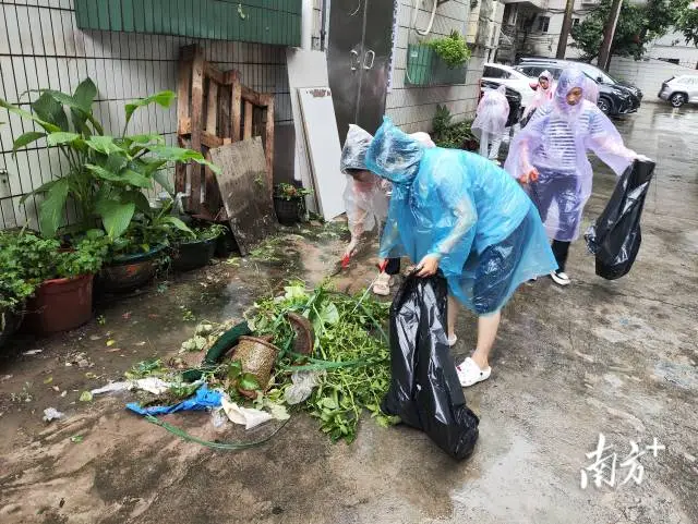 出击！禅城全城&ldquo;围剿&rdquo;基孔肯雅热 | 禅城飞鸿