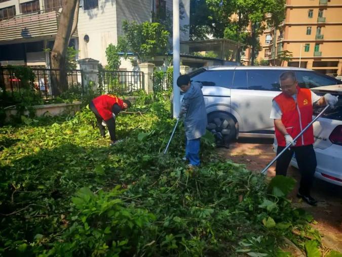 同心抗疫！佛山市政务服务和数据管理系统全员奋战防蚊灭蚊一线