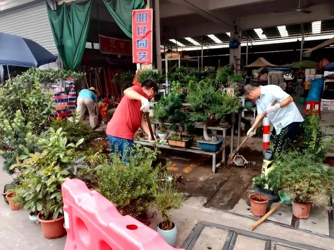 清死角、稳价格、强联动！高明市监织密蚊媒传染病防控网