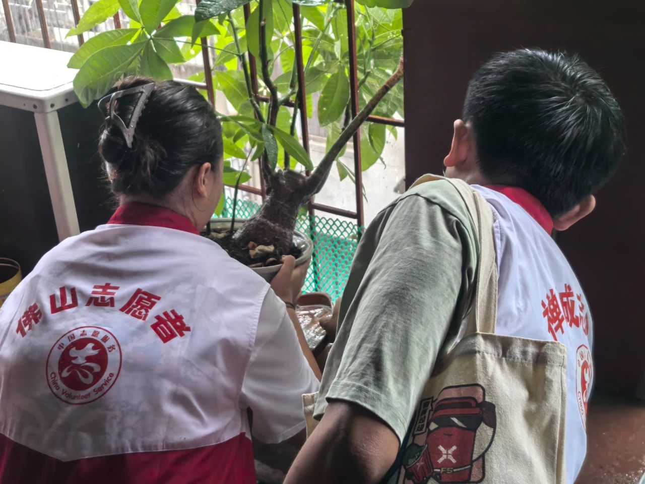 &ldquo;青&rdquo;力而为，志愿同行，共同筑牢疫情防线