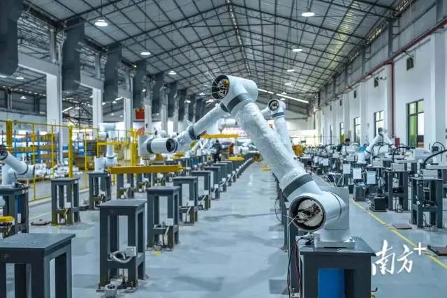 标准：佛山产业&ldquo;育新&rdquo;的赋能者