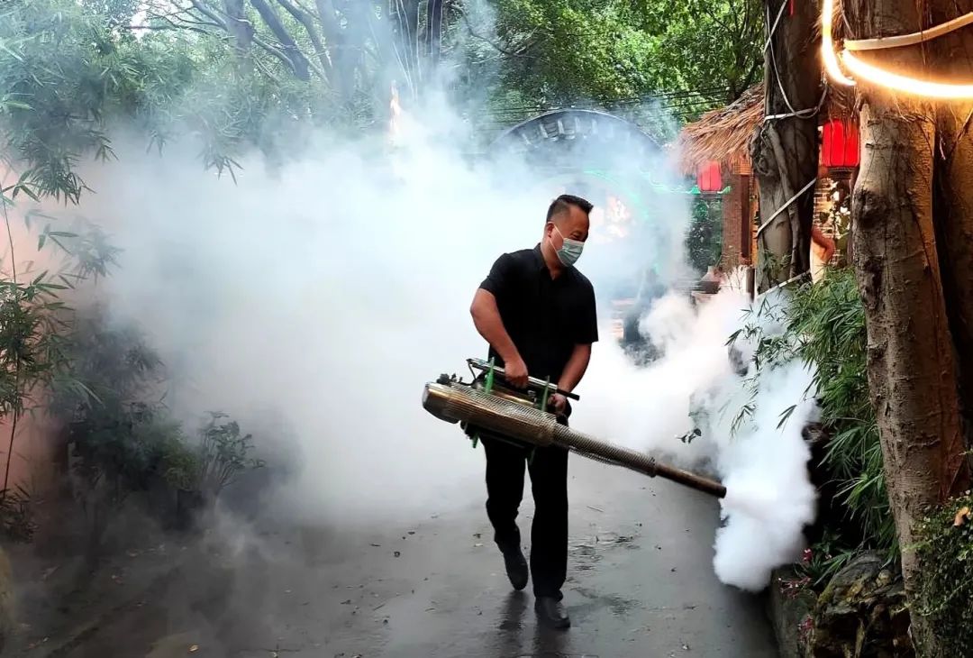 高明市监在行动：灭蚊防病守护&ldquo;舌尖安全&rdquo;！