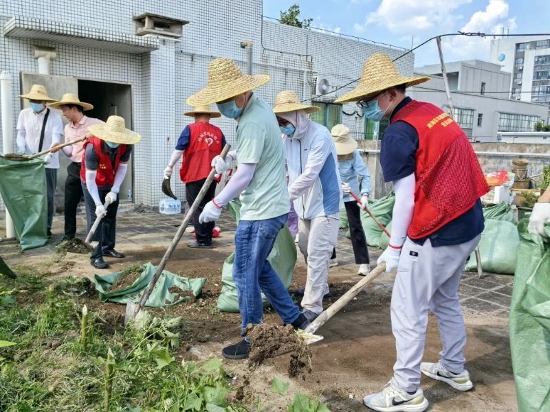一格格、一户户、一个个，全员"战蚊"！