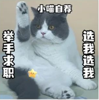 &ldquo;笋工&rdquo;上新！佛山这些名企、医院、学校招人&rarr;