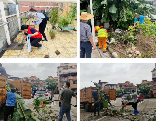 防蚊灭蚊不松懈！佛山三龙湾科技城管委会全员行动，参与爱国卫生运动