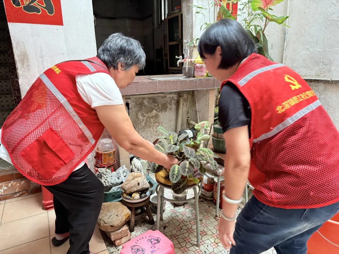 佛山市&ldquo;银发力量&rdquo;在行动！ 合力打响蚊媒防控歼灭战