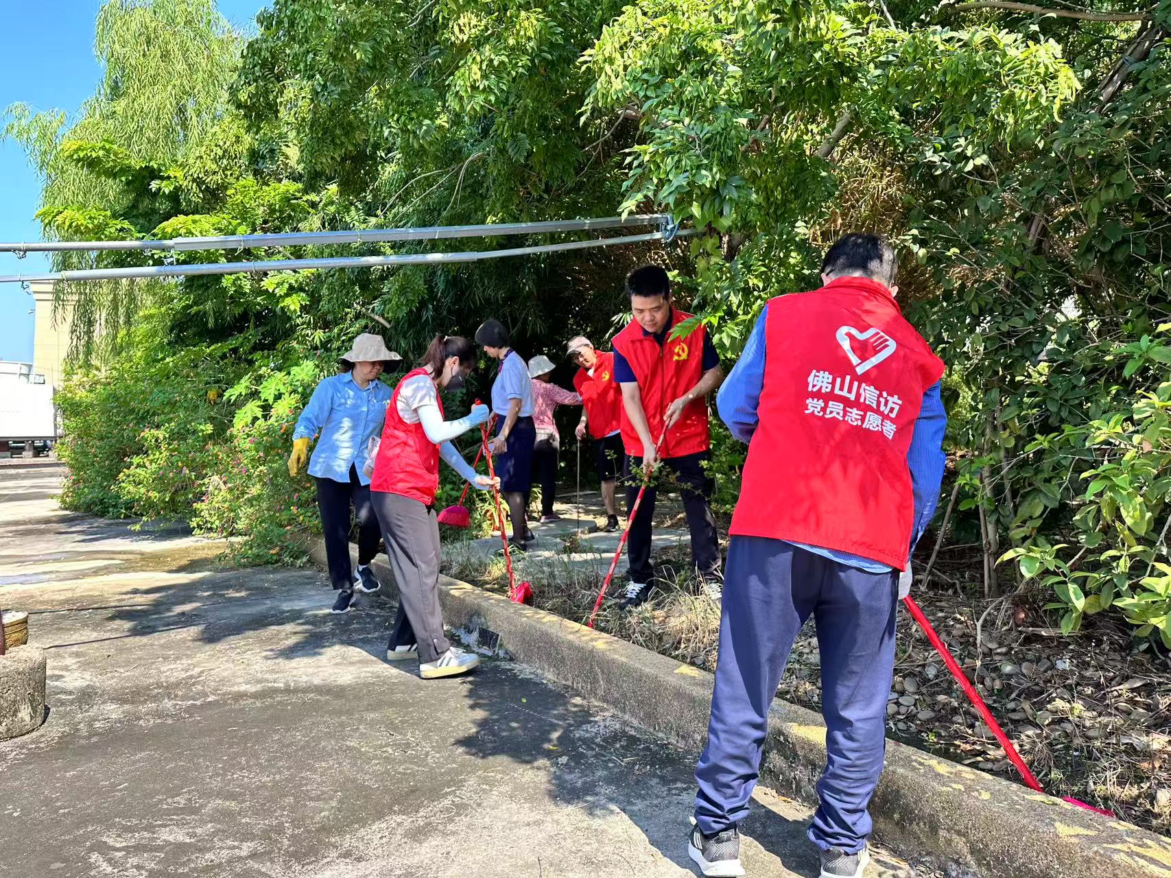 入户宣传、倾倒积水......市信访局组织党员志愿者深入基层开展蚊媒传染病防控工作