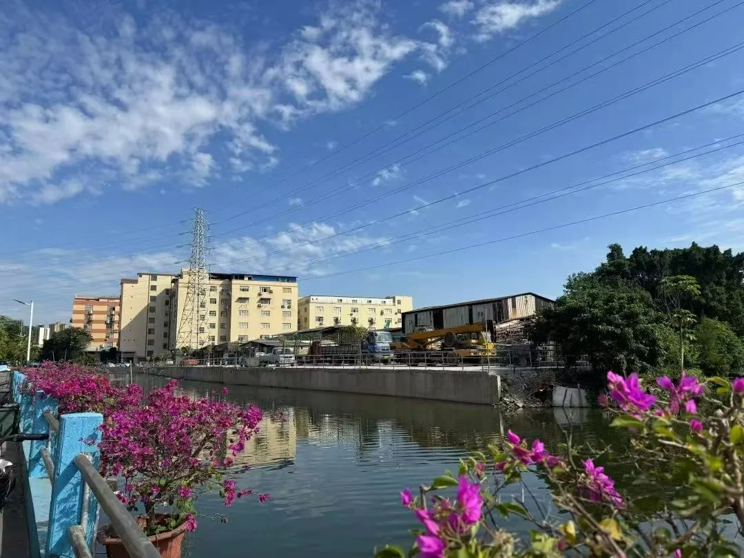 自筹700万！大沥河西社区将&ldquo;大变身&rdquo;