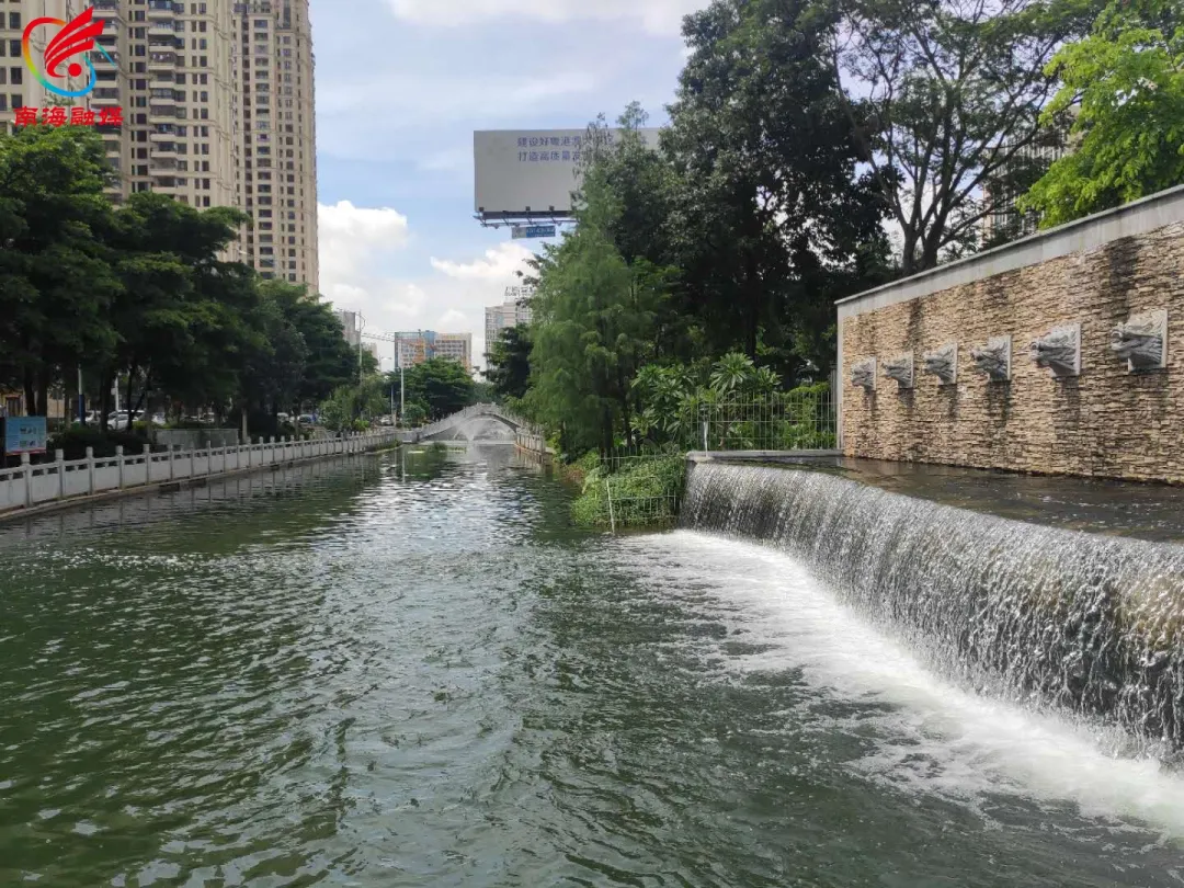 全民治水！扮靓大沥生态底色！