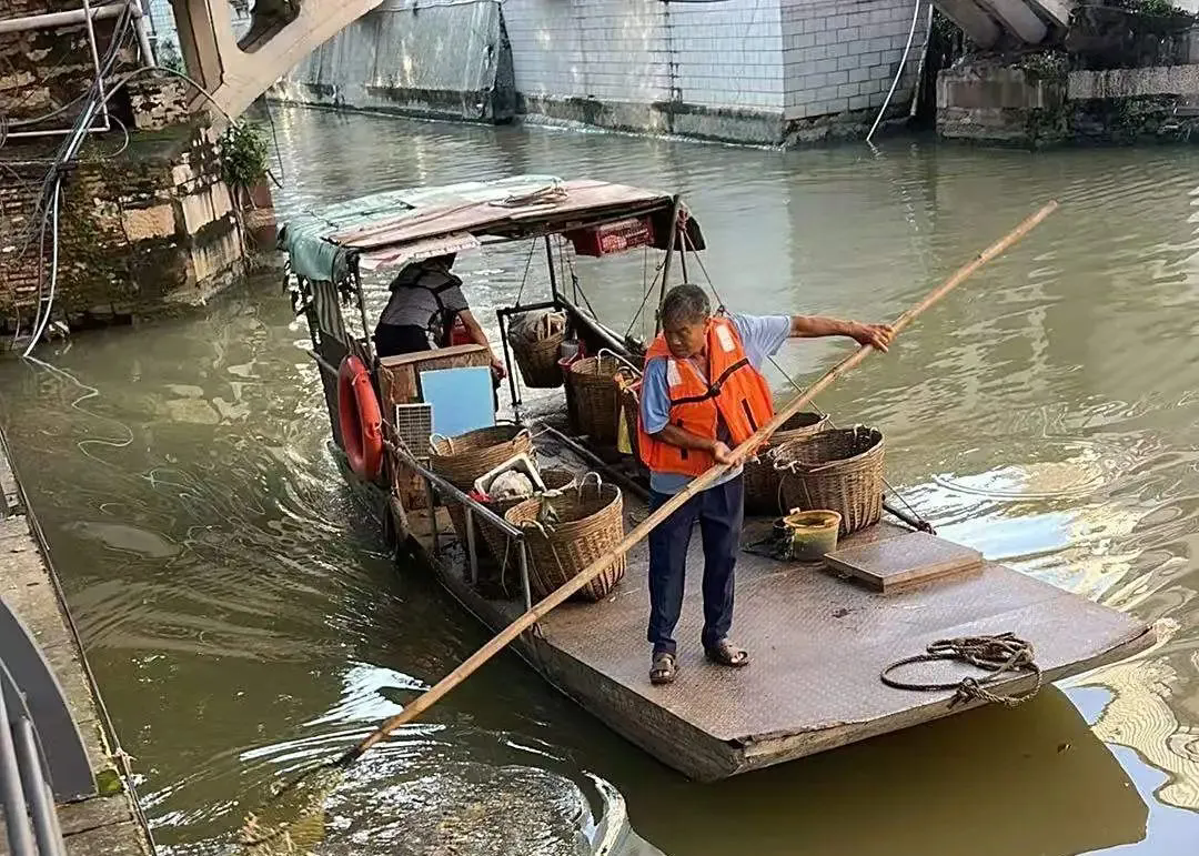 多方联动，筑牢防线！佛山各级河湖长开展成蚊消杀重点攻坚行动
