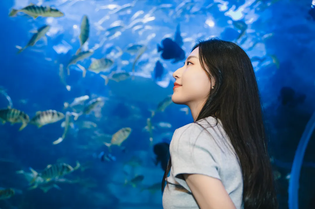 送门票！来大沥，解锁佛山最大海洋馆新玩法&rarr;