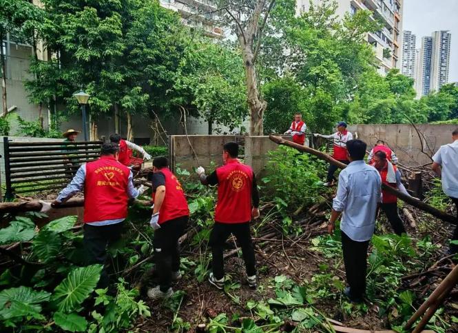 防疫不松劲！佛山市政务服务和数据管理系统党员干部积极投身爱国卫生运动统一行动