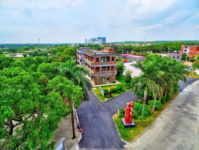 青砖黛瓦间的法治新声！这条村用百年文脉滋养现代治理丨平安村（社区）专题报道⑬