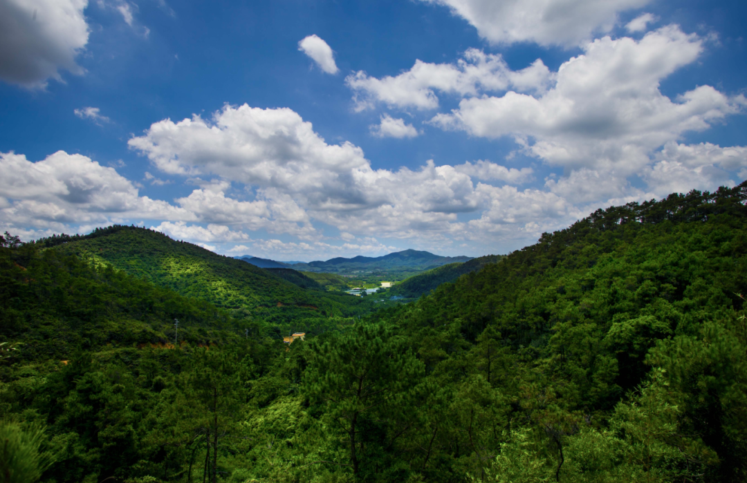 计划年底开放！大湾区首个&ldquo;香养&rdquo;度假区来了！