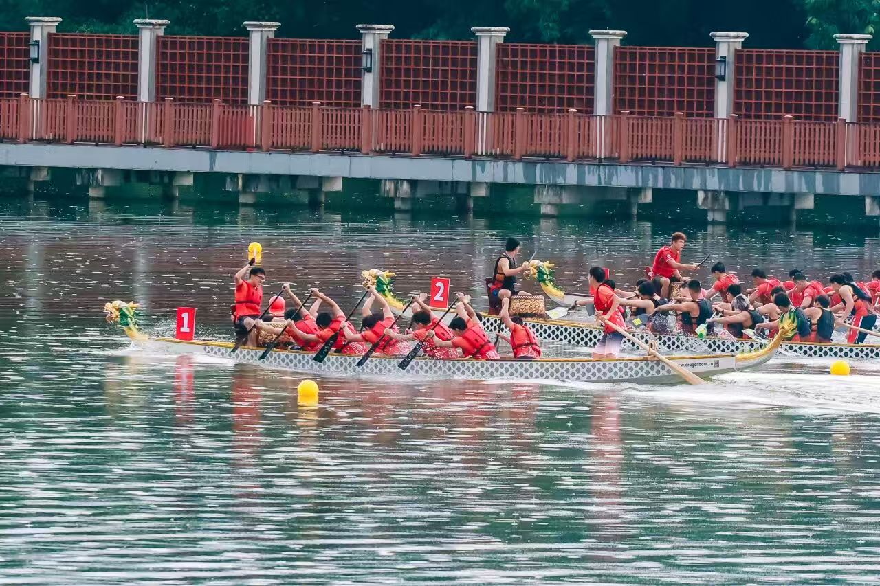 在佛山，我与一场龙舟赛的共鸣