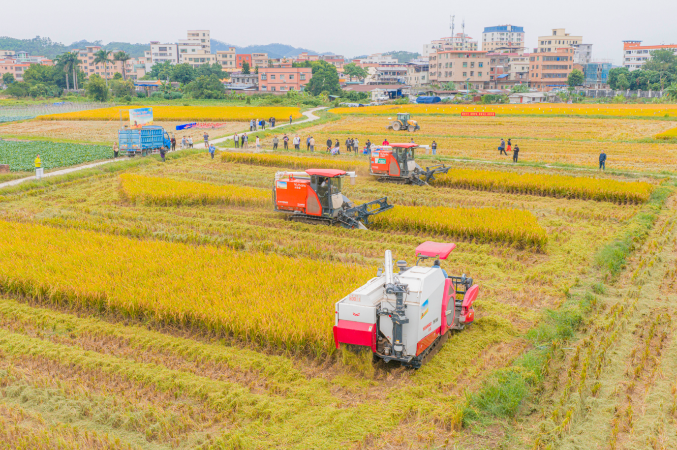 以技护粮助增收！佛山组织开展稻浪间的&ldquo;精准较量&rdquo;&rarr;