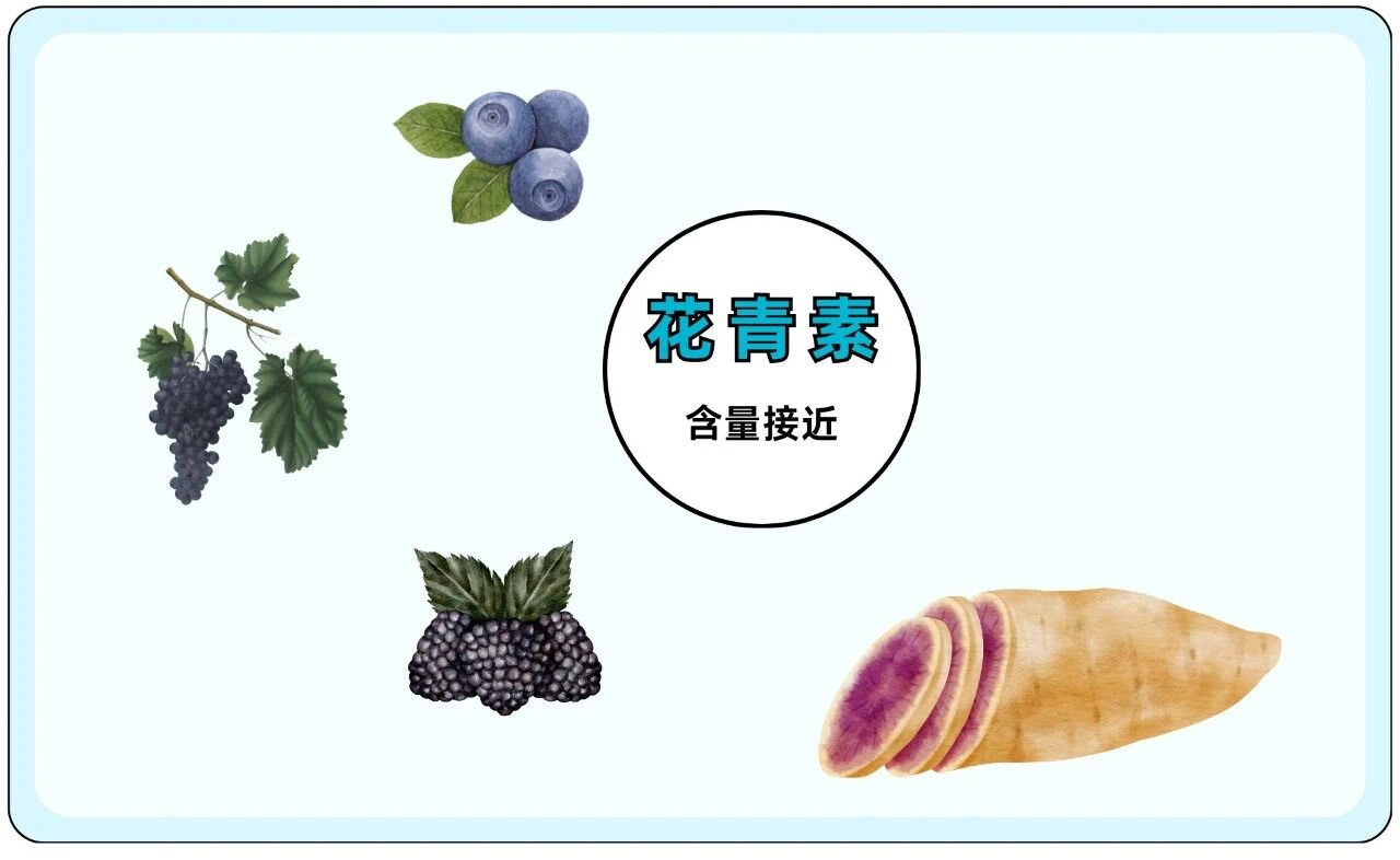 2 块钱的红薯，真不如 4 块的紫薯吗？