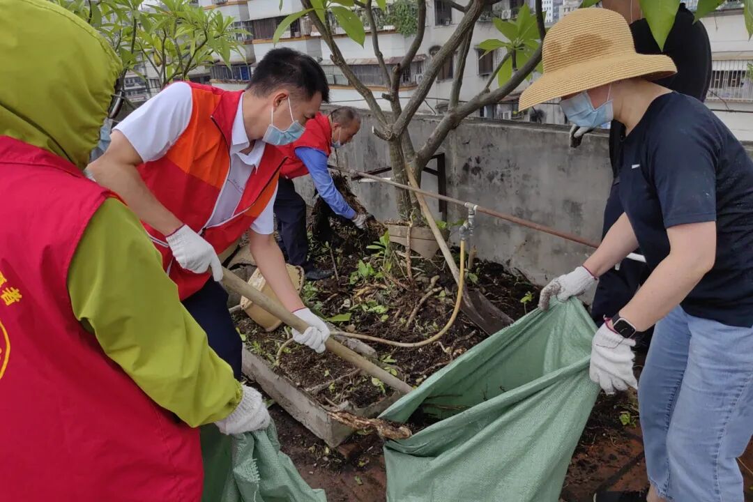 筑牢群防群治严密防线！市交通运输局党员干部闻令而动积极开展爱国卫生运动