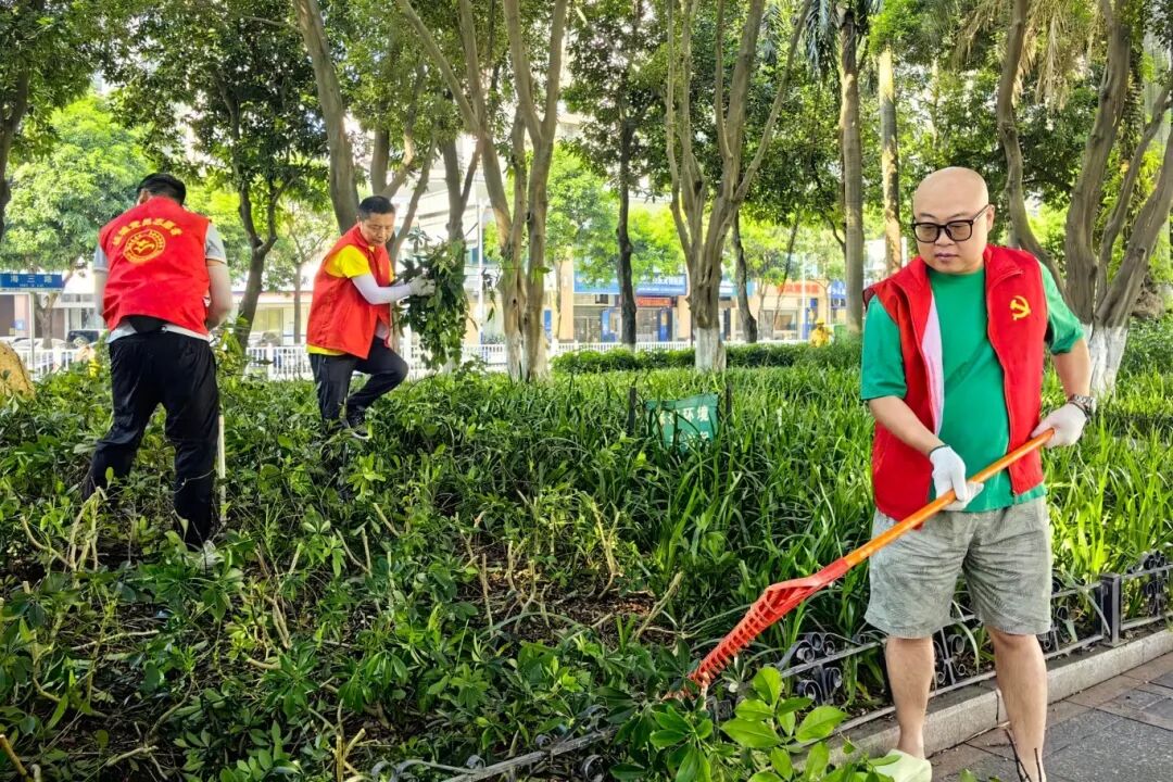 今天，全市交通运输行业开展爱国卫生运动统一行动！