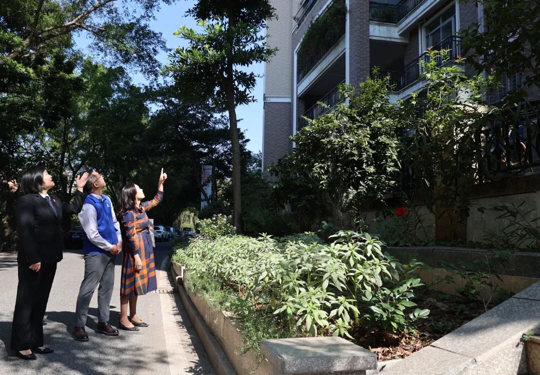 外墙焕新，安心过年！她筑起业主、物业的&ldquo;连心桥&rdquo;丨佛山政法先锋㊳