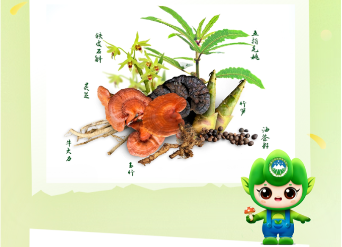 哪些食用林产品要监测？哪类农药已停用？来看食用林产品质量安全知识科普