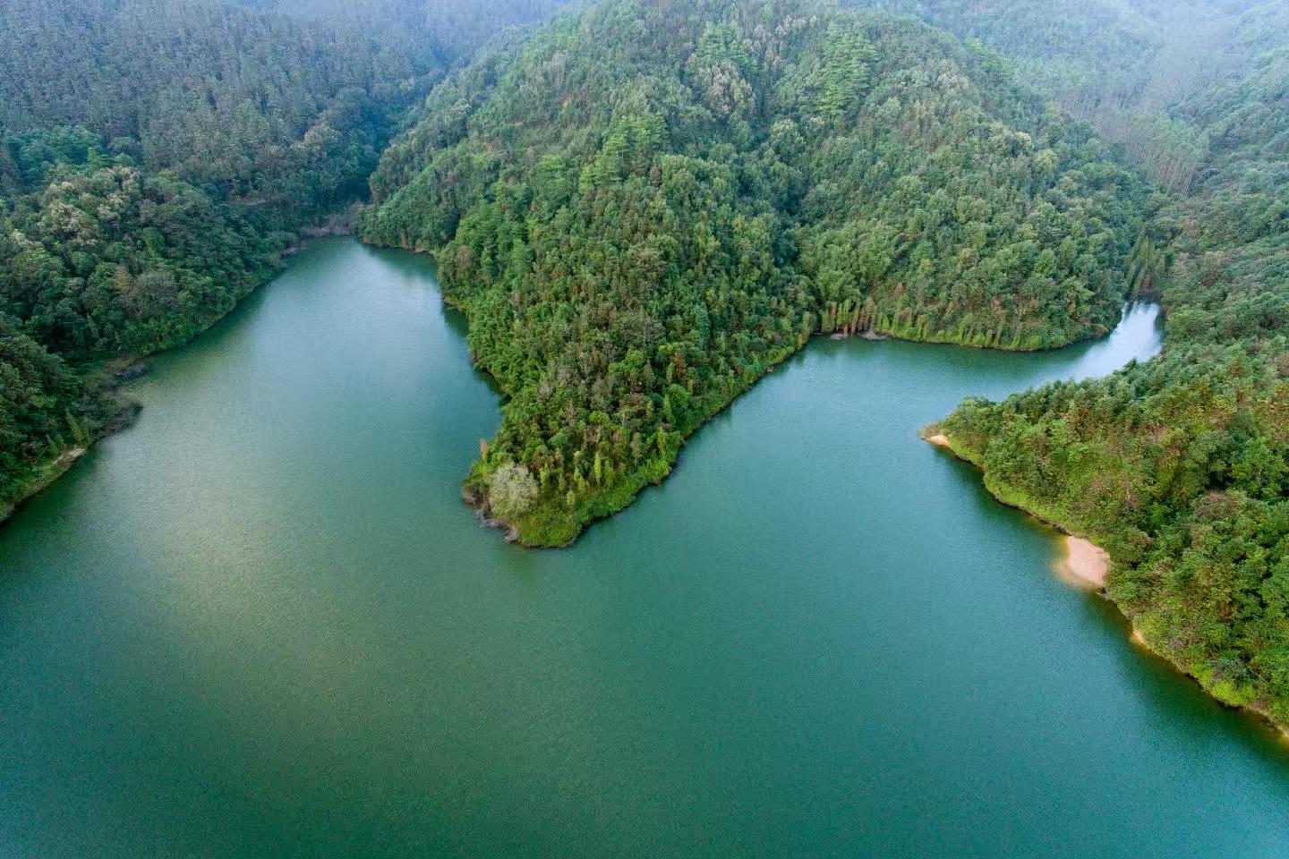 佛山发布2025年第2号林长令，明确林长制工作要点