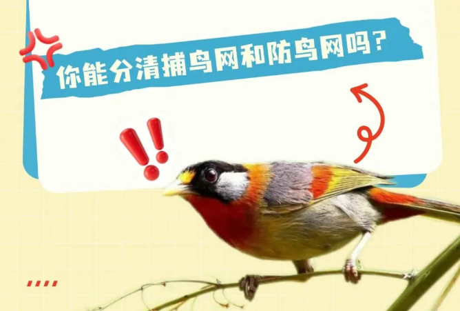 科学规范用网，莫让防鸟变伤鸟！